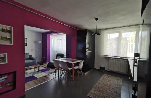 Piatra Neamt Apartment | Apartament ASR