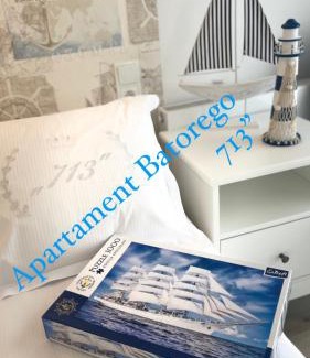 Srodmiescie Apartment | Apartament Batorego 713