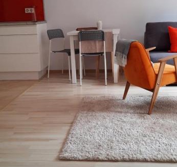 Naleczow Apartment | Apartament Centrum przy Parku Zdrojowym