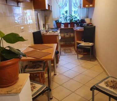 Baile Herculane Apartment | Apartament cu trei camere