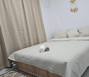 Arad Apartment | Apartament 'Cu viziune', parcare publica fără plata, Self Non Stop check in