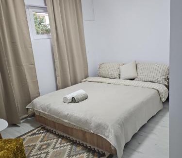 Arad Apartment | Apartament 'Cu viziune', parcare publica fără plata, Self Non Stop check in