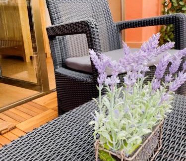 Coll de Nargo Apartment | Apartament dúplex amb vistes al Pirineu català
