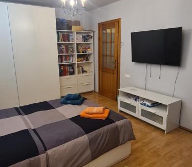 Emanoil Gojdu House | Apartament David Deva - 2 dormitoare & 1 living