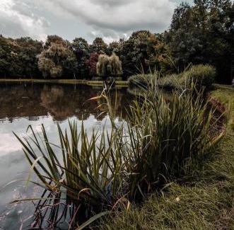 Siemianowice Slaskie Apartment | Apartament Deluxe Arcon