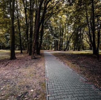 Siemianowice Slaskie Apartment | Apartament Deluxe Arcon