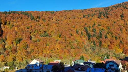 Sinaia Apartment | Apartament Erika Sinaia