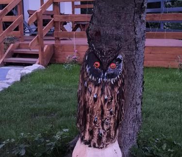 Swieradow-Zdroj House | Apartament Izerski DOMEK z tarasem Premium