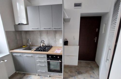 Boguszow-Gorce Apartment | Apartament Kamienna Gora