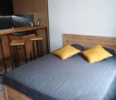 Tczew Apartment | Apartament Kozigród