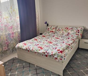Nehoiu Apartment | Apartament la munte
