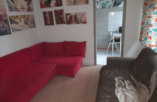 Plock Apartment | APARTAMENT LOTNIKÓW 7
