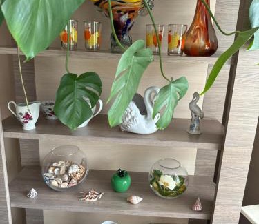 Sandomierz Apartment | APARTAMENT MAGNOLIA