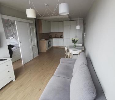 Klodzko Miasto Apartment | Apartament Manhattan