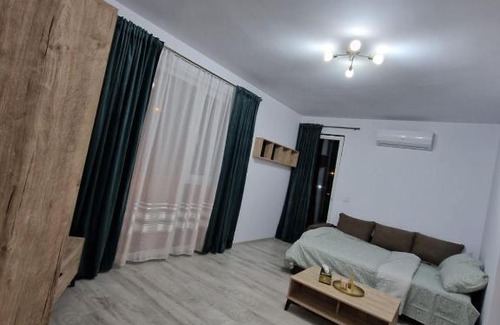 Timisoara Apartment | Apartament Modern cu o Camera