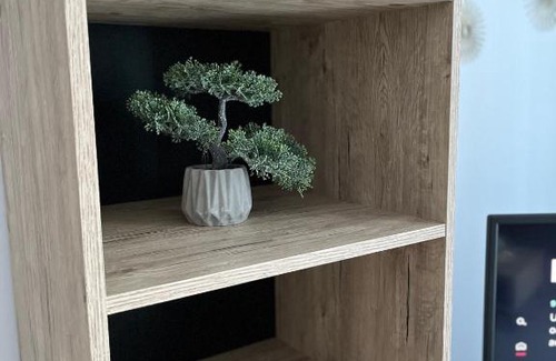 Timisoara Apartment | Apartament Modern cu o Camera