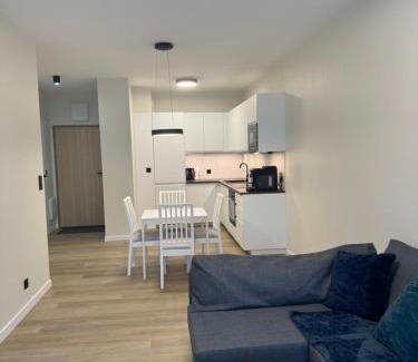 Centrum Apartment | Apartament Moniuszki