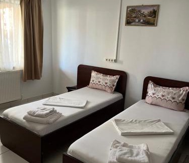 Emanoil Gojdu Apartment | Apartament Octav