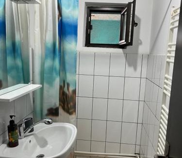 Emanoil Gojdu Apartment | Apartament Octav