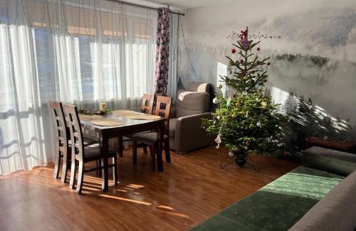 Cisna Apartment | Apartament pod Honem