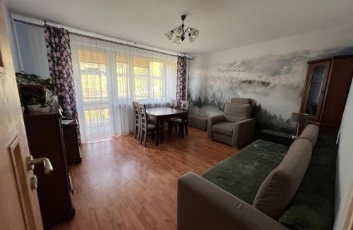 Cisna Apartment | Apartament pod Honem