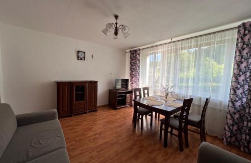 Cisna Apartment | Apartament pod Honem