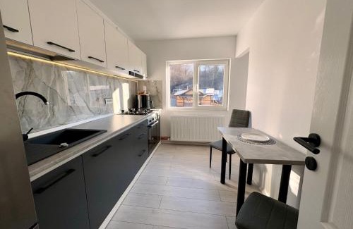 Curtea De Arges Apartment | Apartament Posada