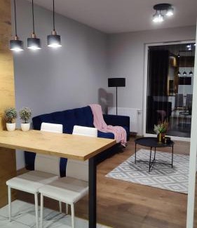 Bytkow Apartment | Apartament przy Parku Śląskim