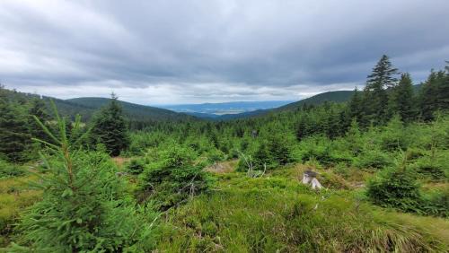 Sienna Apartment | Apartament Ski&Bike Czarna Góra, Sienna