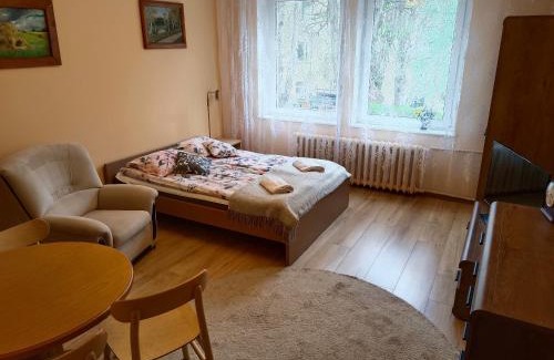 Siedlce Apartment | apartament Sowińskiego