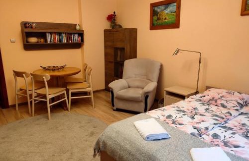 Siedlce Apartment | apartament Sowińskiego