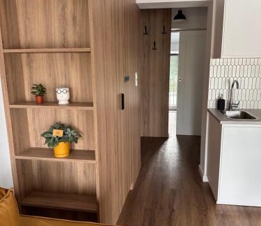 Sroda Wielkopolska Apartment | Apartament Stara Środa