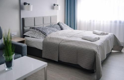 Lichen Stary Apartment | Apartament Turysta