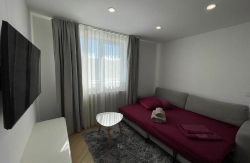 Sangeorz-Bai Apartment | APARTAMENT ULTRACENTRAL,PARCARE PRIVATA,WiFi