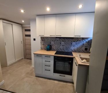 Zaniemysl Apartment | Apartament w zabytkowym parku nad jeziorem