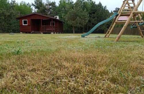 Powidz Apartment | Apartament Wylatkowo - Powidz