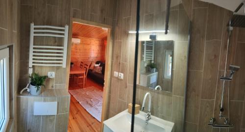 Powidz Apartment | Apartament Wylatkowo - Powidz