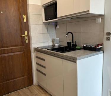 Tomaszow Mazowiecki Apartment | Apartament Zielony Kołłątaja
