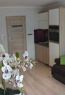 Leba Apartment | Apartament Zielona Wydma