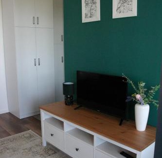 Konin Apartment | Apartament zielony