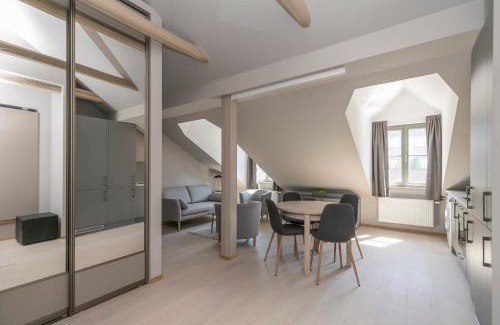 Business District Apartment | APARTAMENTAI LEMBERGAS