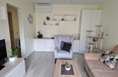 Kaunas Apartment | Apartamentai Prie Luaros