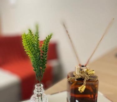 Tapana Apartment | Apartamento aconchegante e completo PROXIMO AO AEROPORTO-COP-30