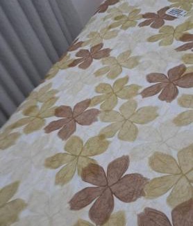 Kobrasol House | Apartamento bem localizado! Kobrasol
