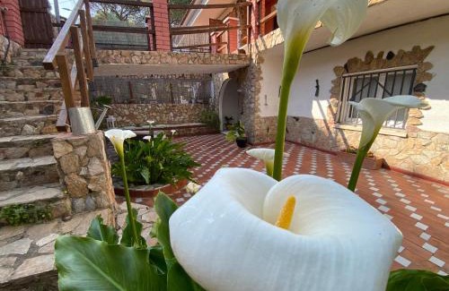 Urbanizacion Tordera Parc Apartment | Apartamento Can Jaramills 2