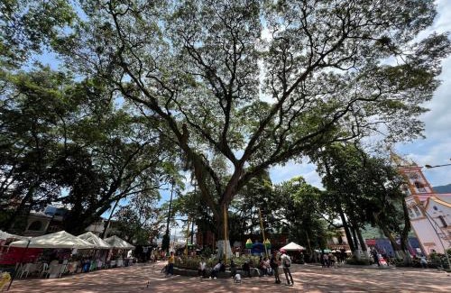 Villeta Apartment | Apartamento de descanso y relajación en Villeta