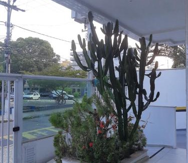 Cabo Frio Apartment | Apartamento Top Praça da Bandeira - Praia do Forte