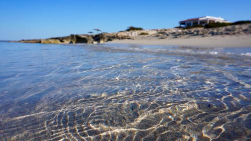 Formentera Apartment | Apartamentos La Fragata