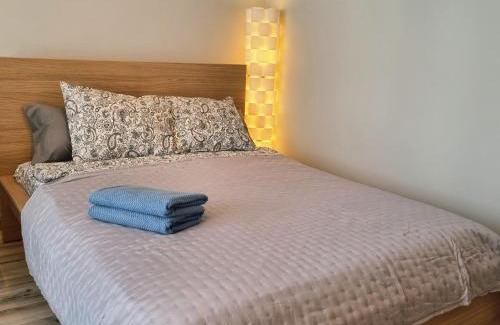 Srodmiescie Apartment | Apartamenty Łódź4-100m DO Piotrkowskiej, Manufaktura, ZOO, prywatny parking w budynku