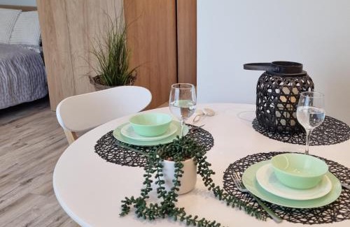 Srodmiescie Apartment | Apartamenty Łódź4-100m DO Piotrkowskiej, Manufaktura, ZOO, prywatny parking w budynku